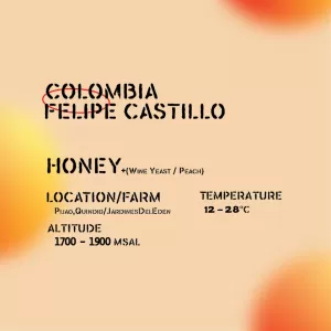 felipe castilo exotic series kopiteori
