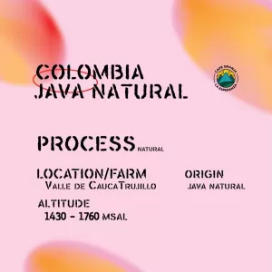 java natural exotic series kopiteori